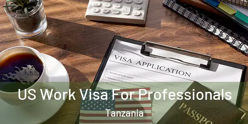  US Work Visa For Professionals Tanzania